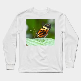 Orange and Yellow Butterfly Long Sleeve T-Shirt